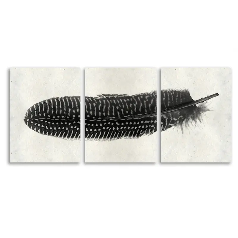 Feather #5 (Pheasant) Trilogy 1