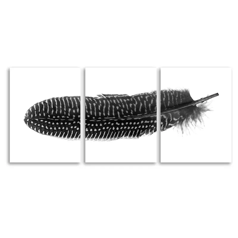 Feather #5 (Pheasant) Trilogy 2