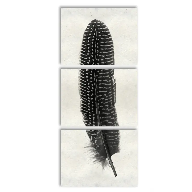 Feather #5 (Pheasant) Trilogy 3