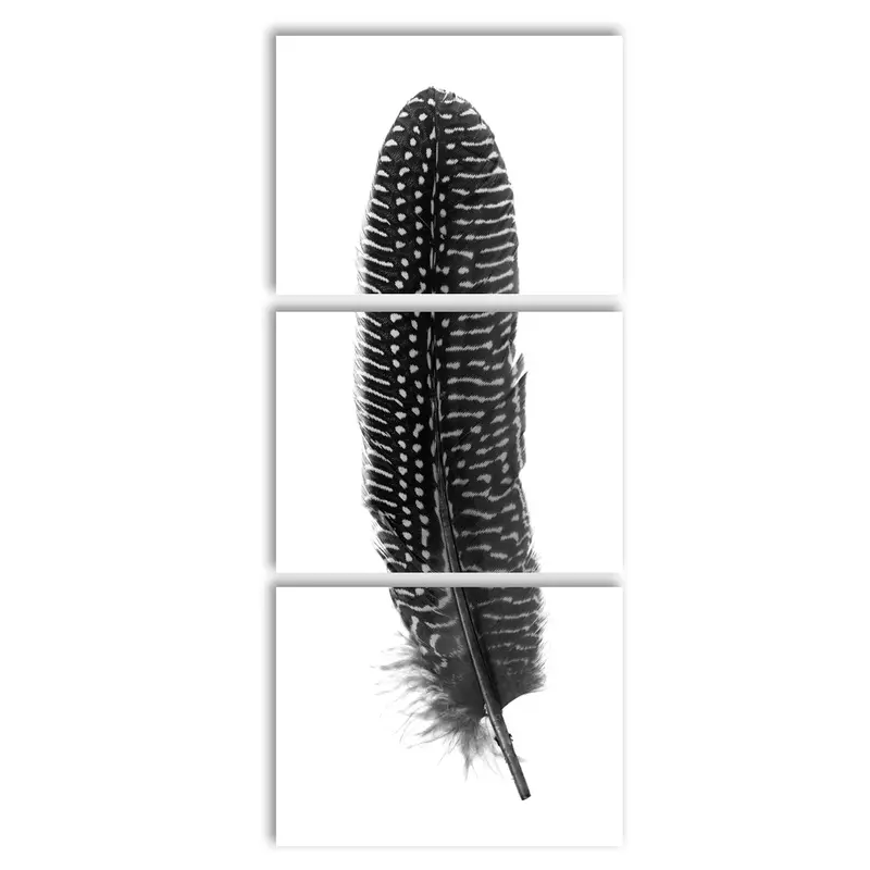 Feather #5 (Pheasant) Trilogy 4