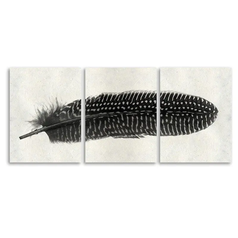 Feather #5 Trilogy Horizontal 1