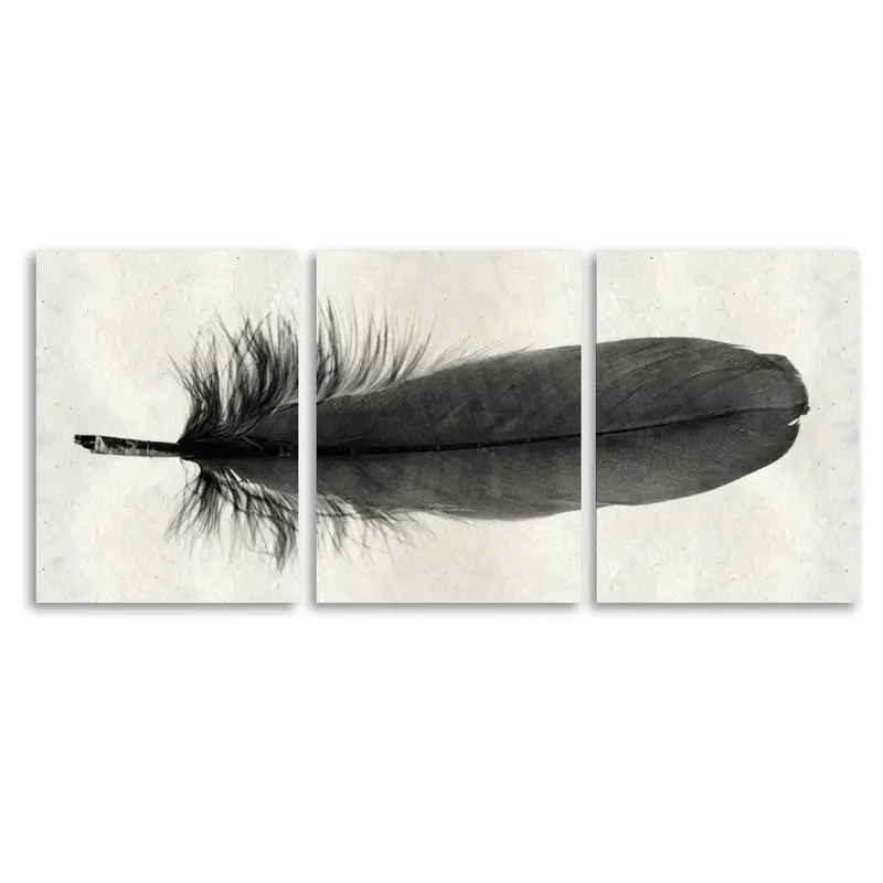 Feather #6 (Goose) Trilogy 1