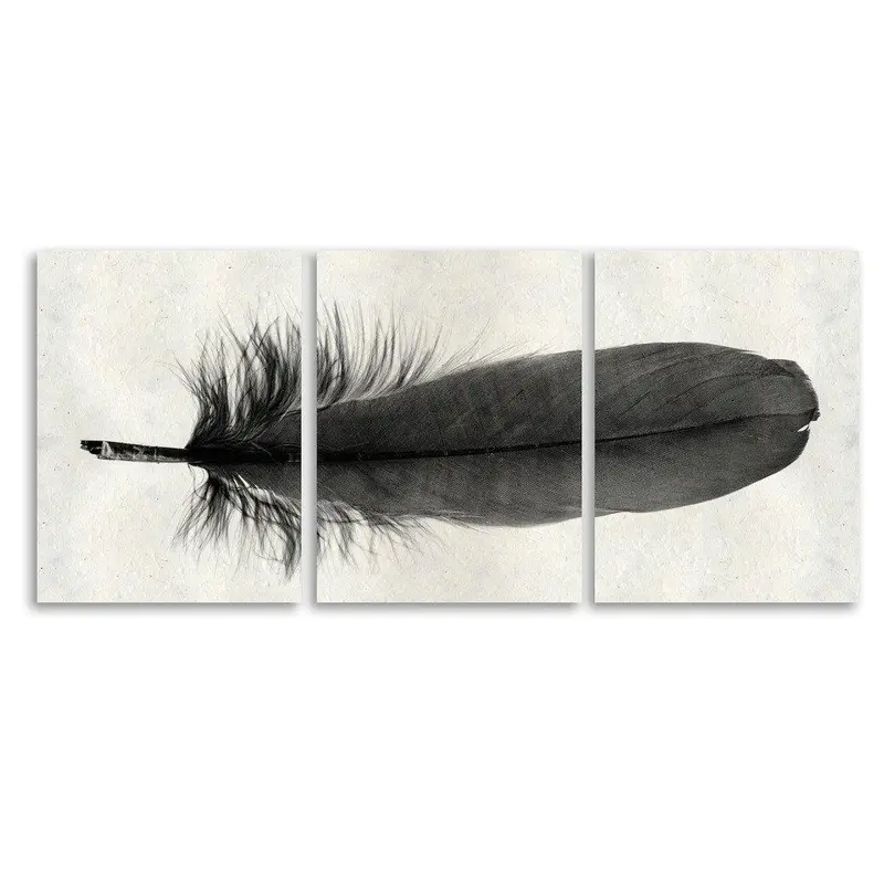 Feather #6 Trilogy Horizontal 1