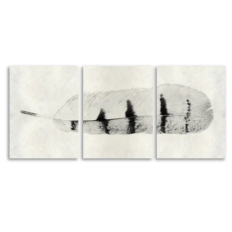 Feather #8 Trilogy Horizontal 1