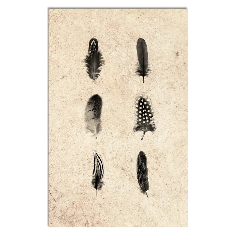 Feather Composite 1