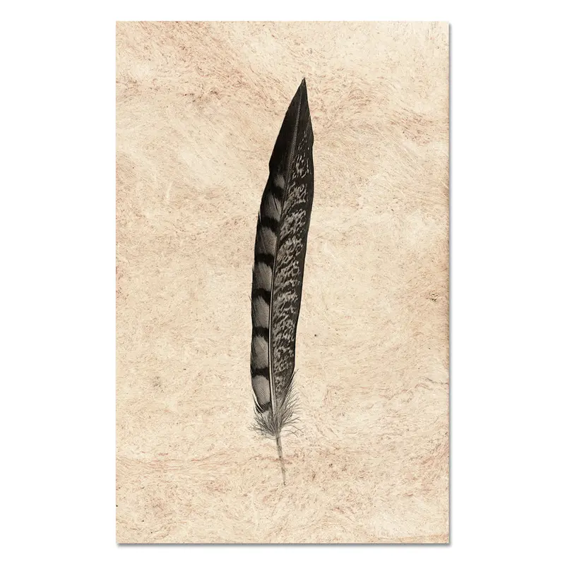 Feather Study #11 (Lady Amherst Pheasant Tail) 1