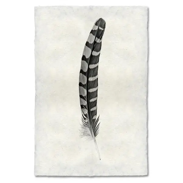 Feather Study #12 (Partridge Wing) 1