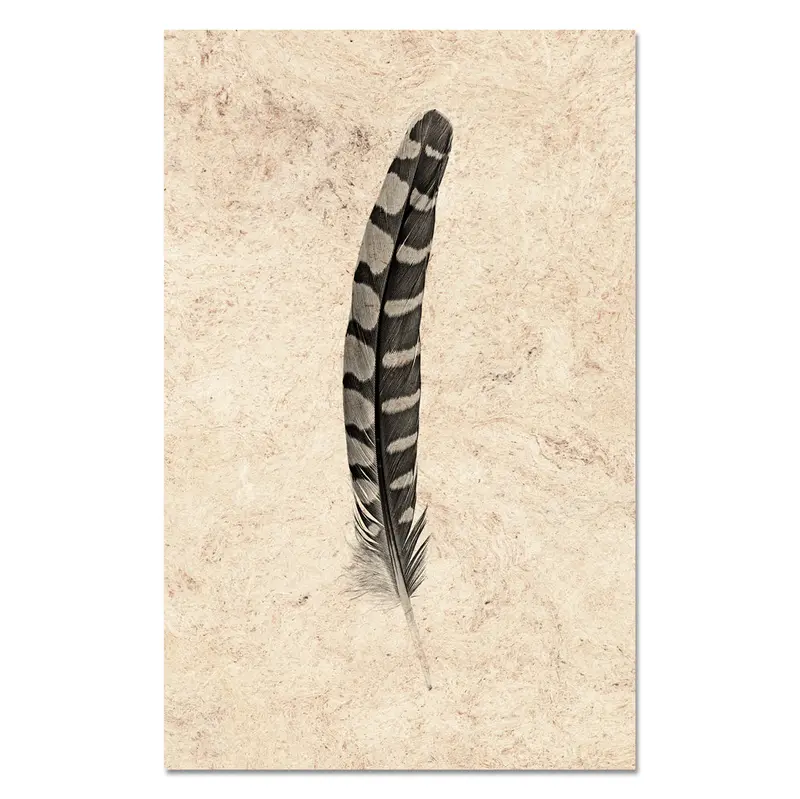 Feather Study #12 (Partridge Wing) 1