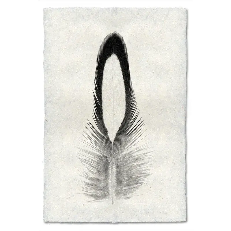 Feather Study #14 (Lady Amherst Pheasant Tippet) 1