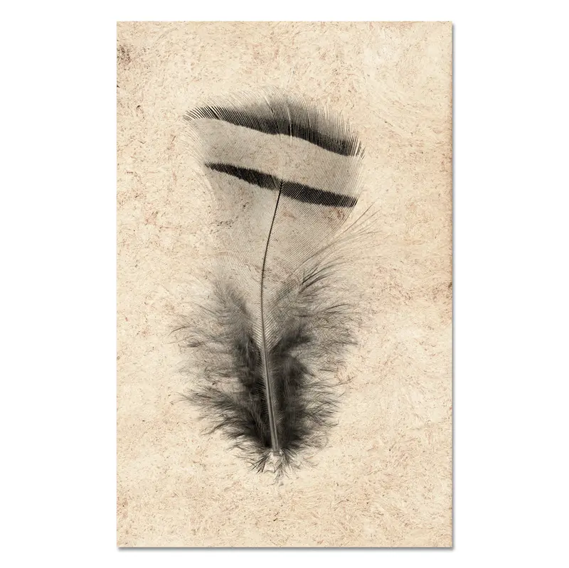 Feather Study #15 (Chukar Partridge) 1