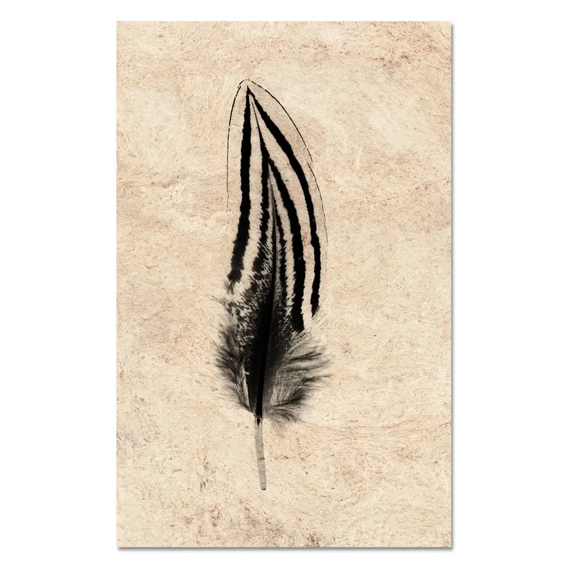Feather Study #2 (Silver Pheasant) 1