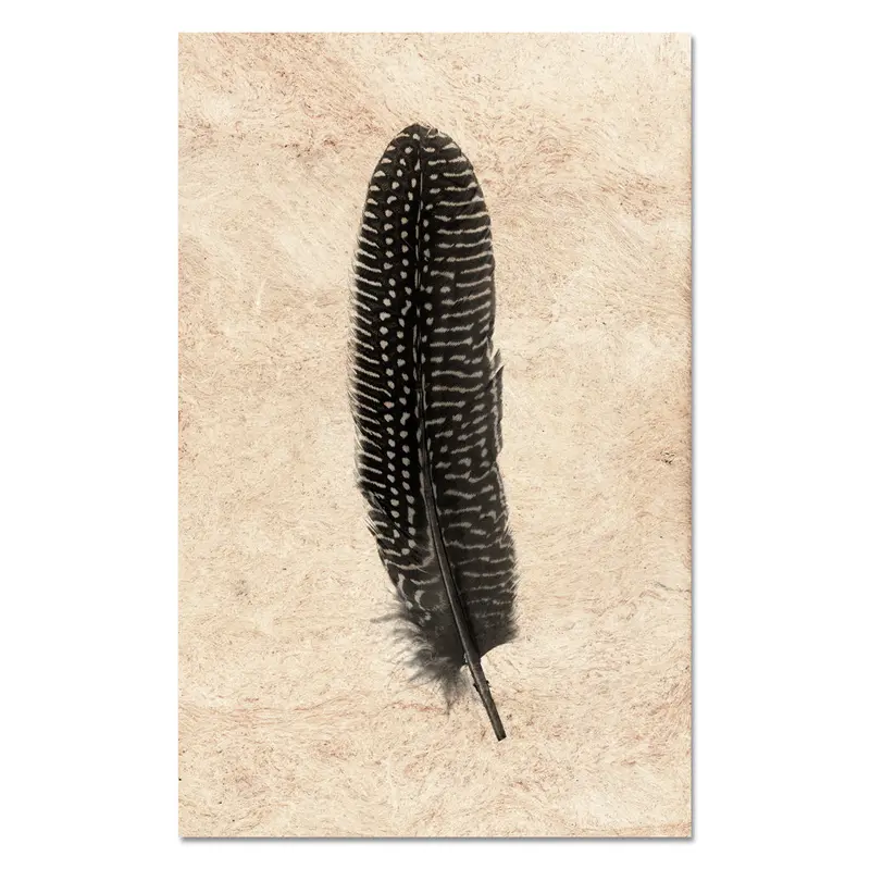 Feather Study #5 (Pheasant) 1