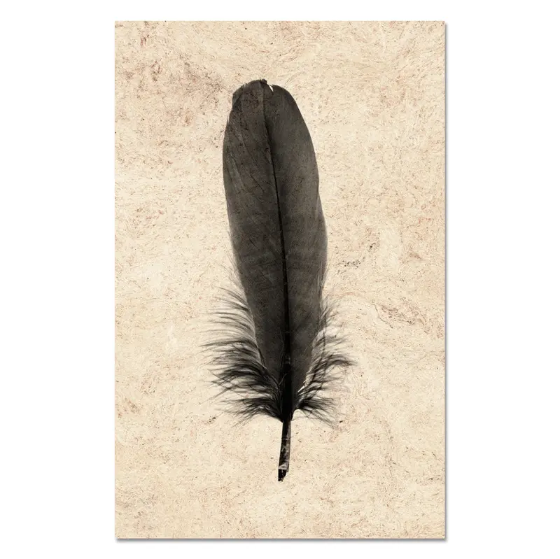 Feather Study #6 (Goose) 1