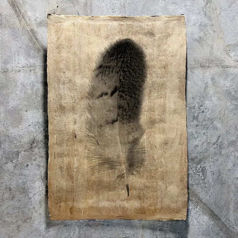 Feather Study #7 (Amate Sierra) 1