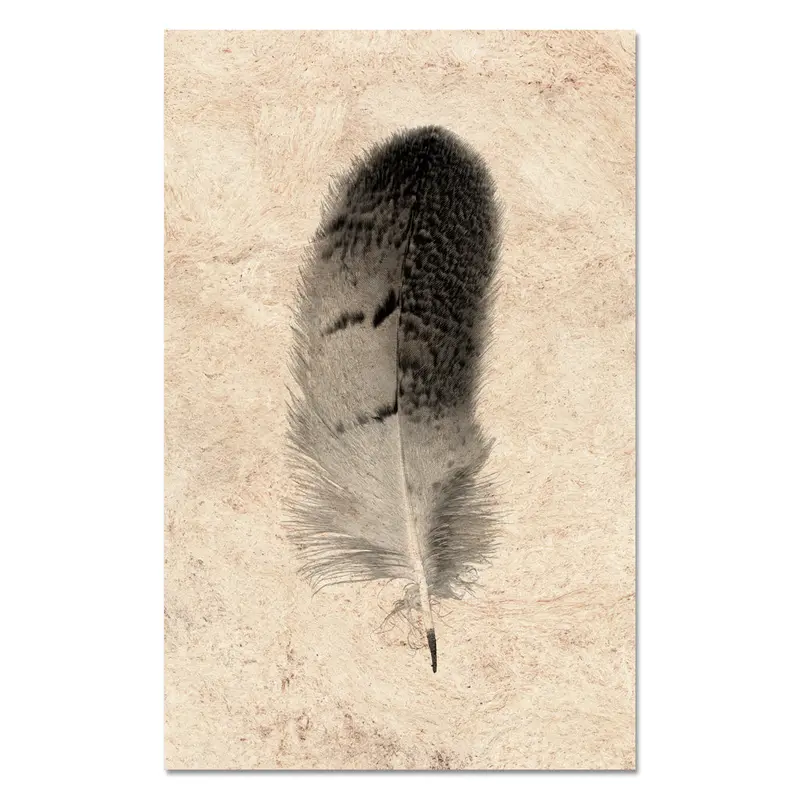 Feather Study #7 (Owl) 1