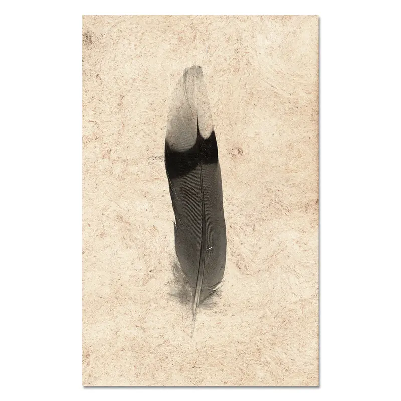 Feather Study #9 (Jay) 1