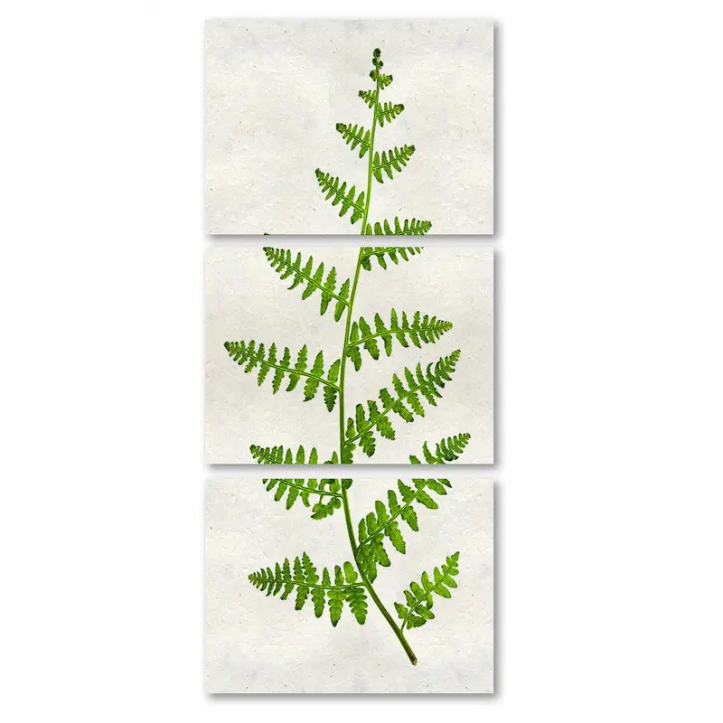 Fern #2 Trilogy 1