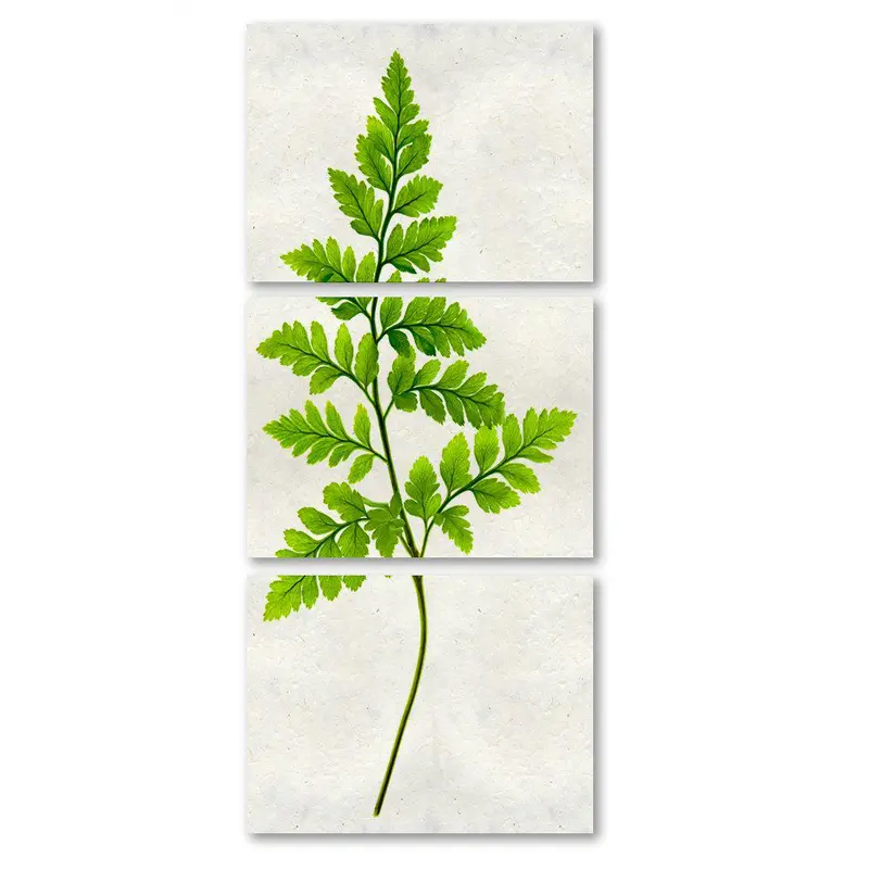 Fern #6 Trilogy 1