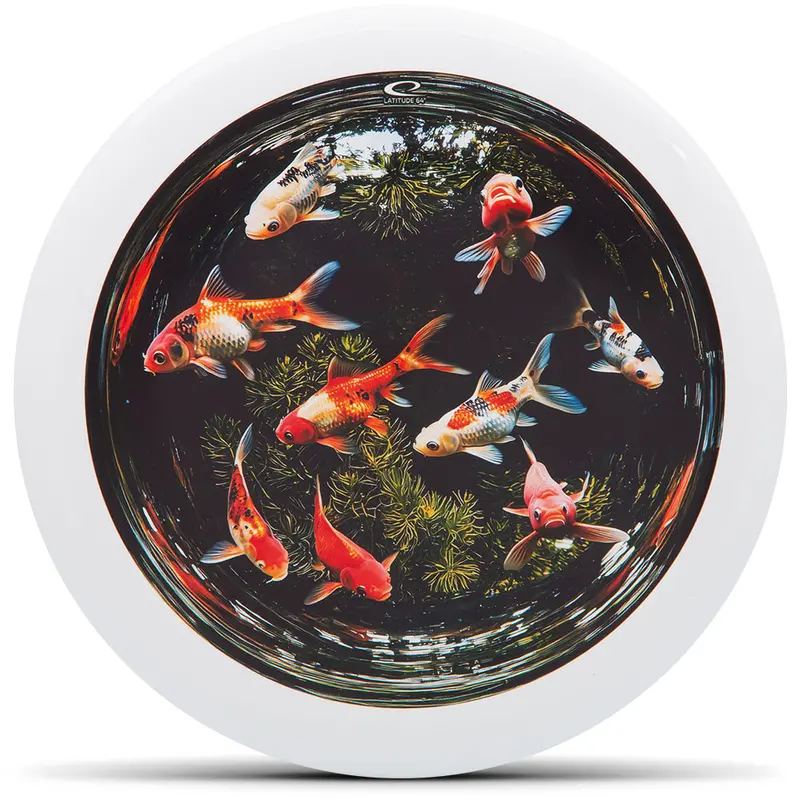 Fish Bowl Decodye 1