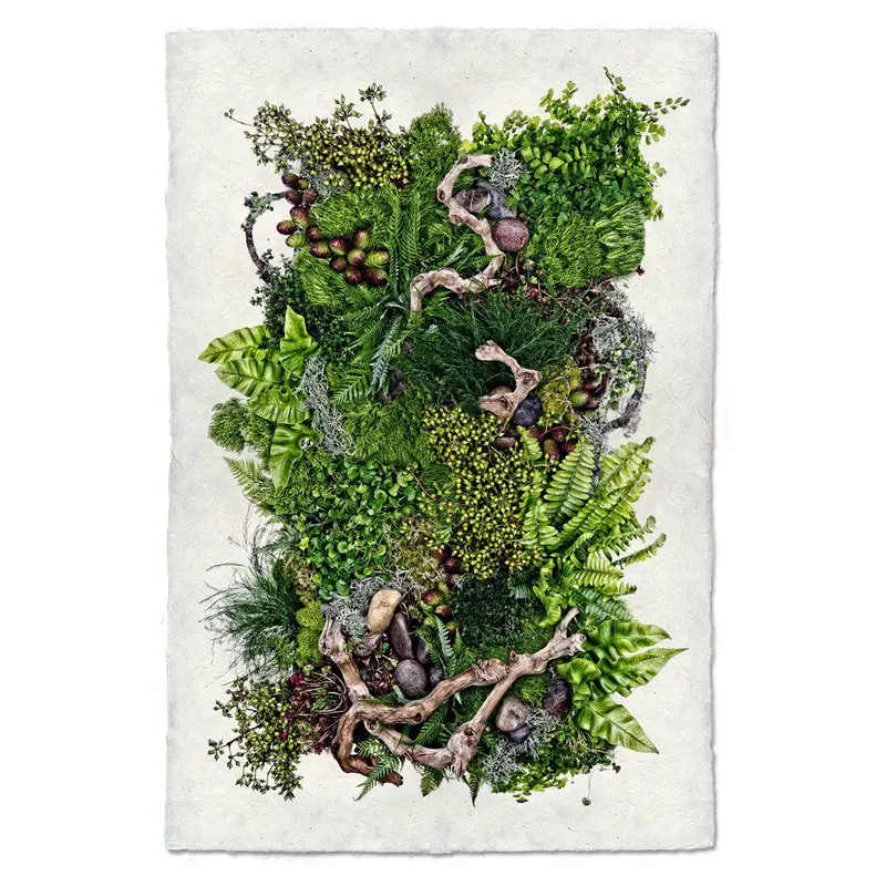 Forest Floor (Collective Ferns) 1