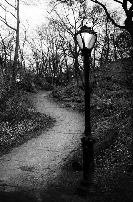 Four Lamp Dusk- Central Park, Ny 1