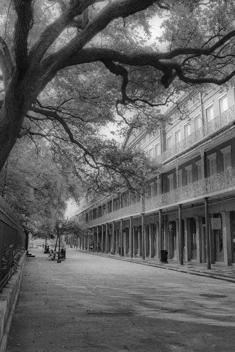French Quarter Study #1- New Orleans, La 1
