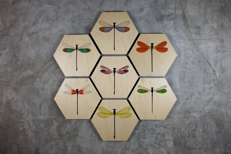 Geometrics - Damsels 8