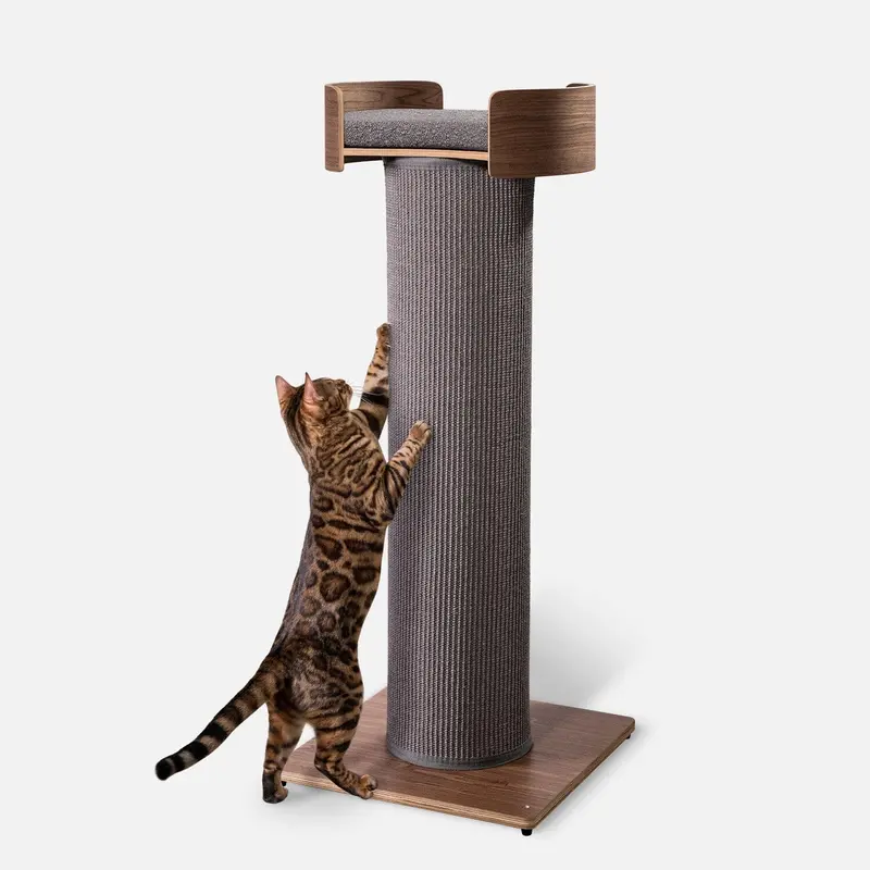 Giant Scratching Tower 1