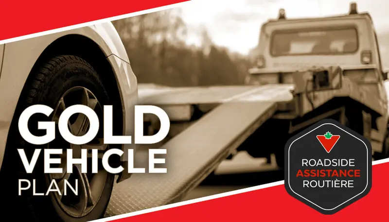 Gold Vehicle Plan 1