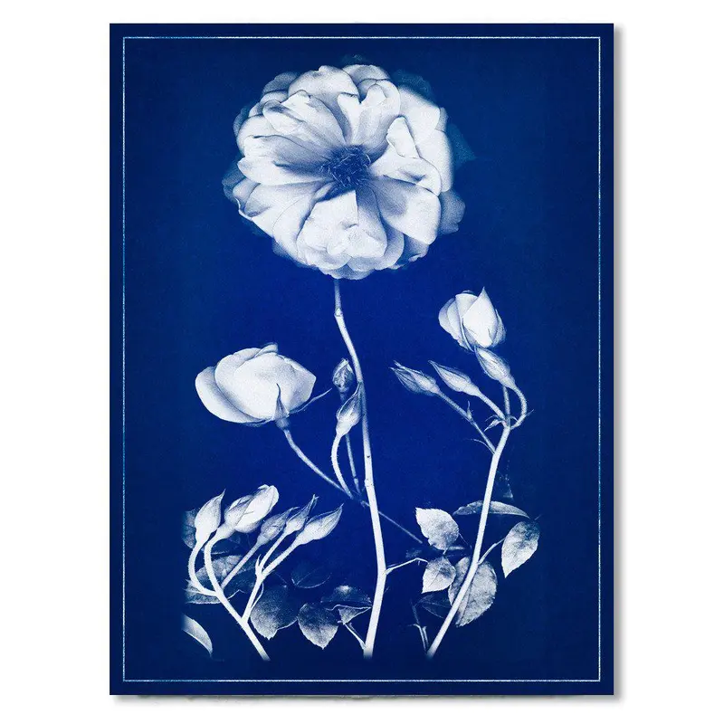 Graphite Rose Blue Print 1