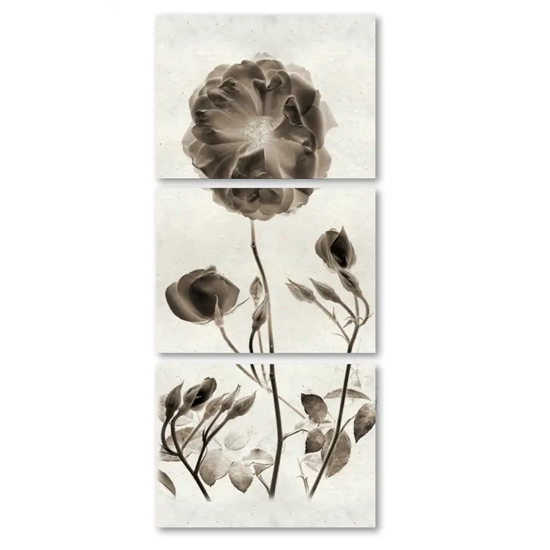 Graphite Rose Trilogy 1