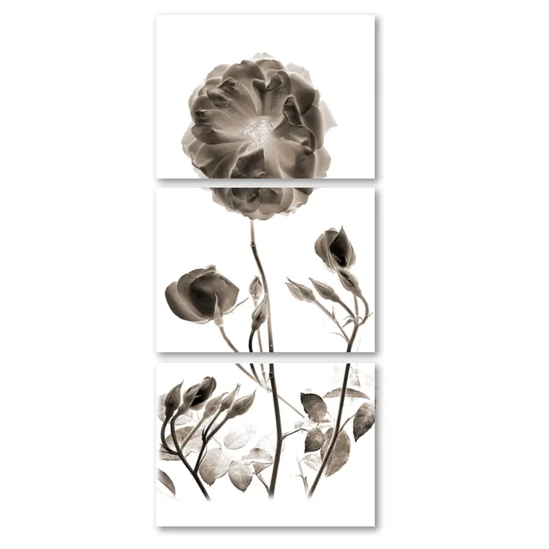 Graphite Rose Trilogy 2