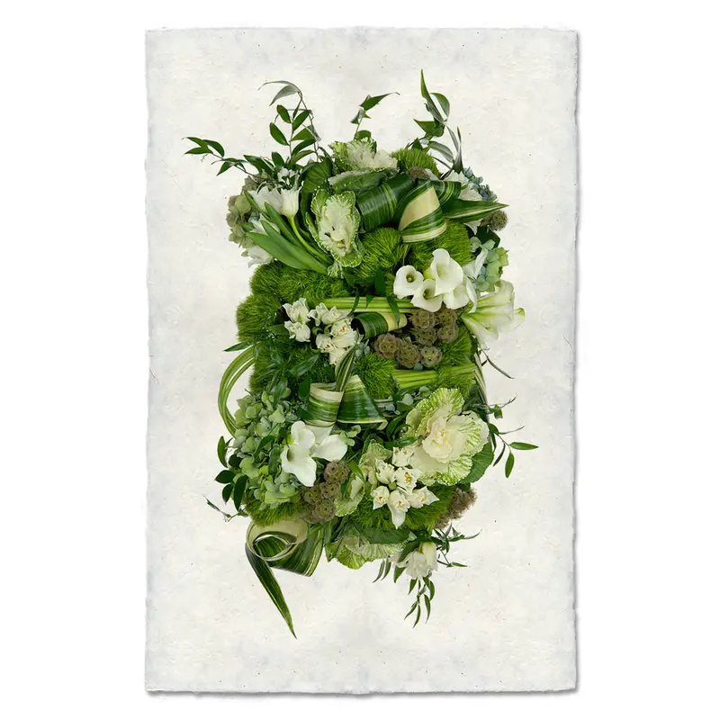 Green And White Collective 1