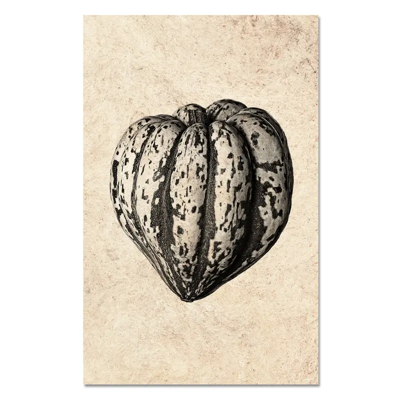 Heirloom Squash 1
