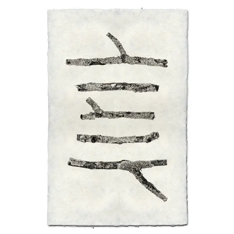 Horizontal Twigs #1 1