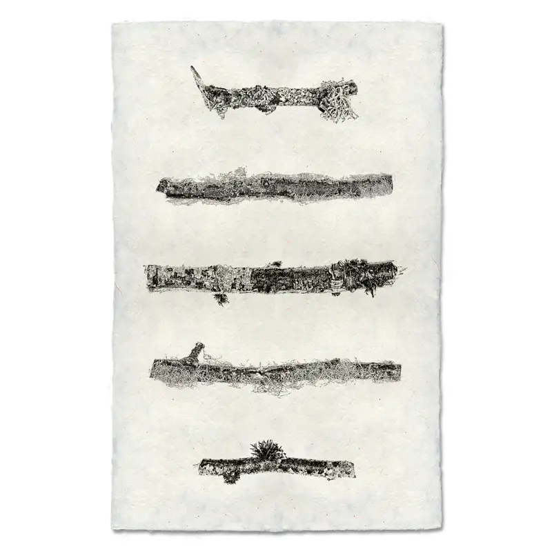 Horizontal Twigs #2 1