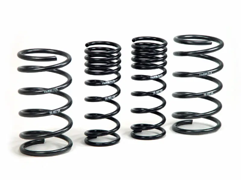 H&R 00-05 Ford Focus/Focus Svt Daw Sport Spring (Non Wagon) 1