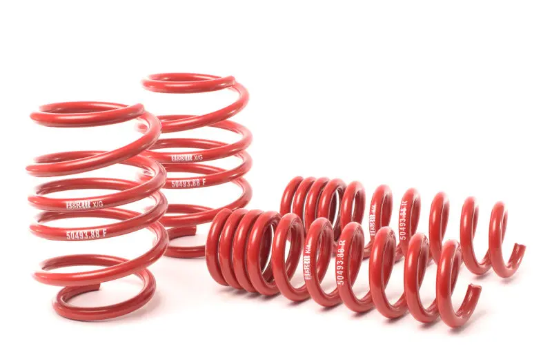 H&R 08-13 Bmw M3 Coupe/M3 Sedan E92 Race Spring 1