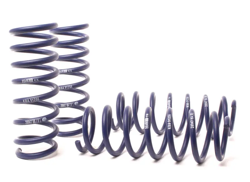 H&R 11-16 Bmw 550I Xdrive F10 Sport Spring 1