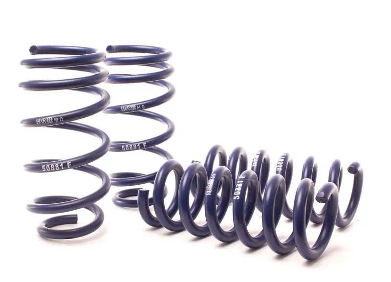 H&R 11-21 Dodge Charger Se/Sxt/Sxt Plus (2Wd/4Wd) Rallye/Plus/V6 Sport Spring 1
