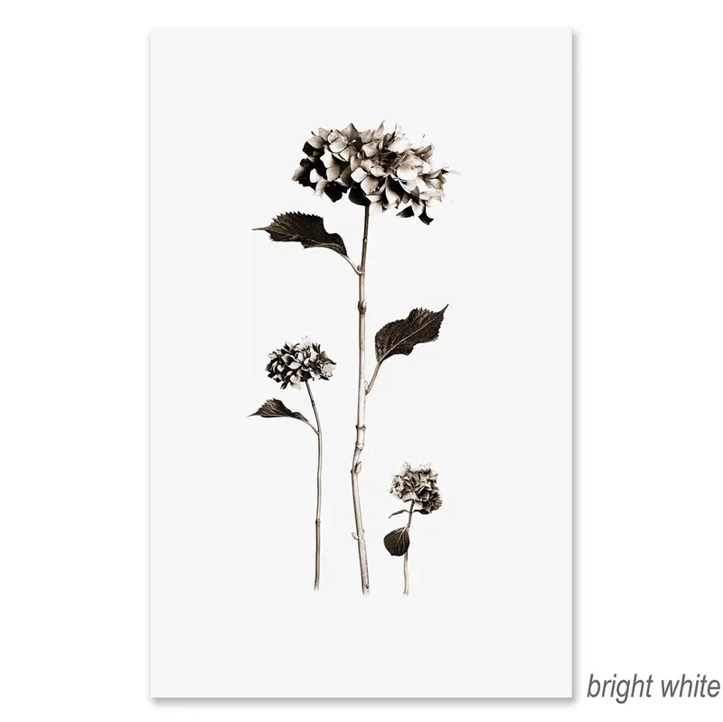 Hydrangeas Grand Format 2