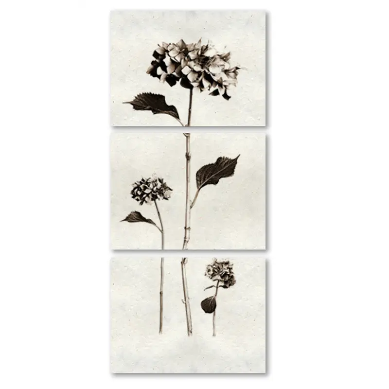 Hydrangeas Trilogy 1