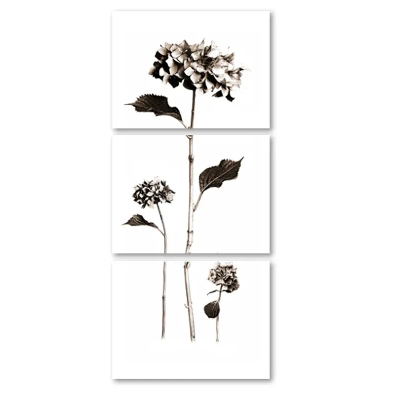Hydrangeas Trilogy 2