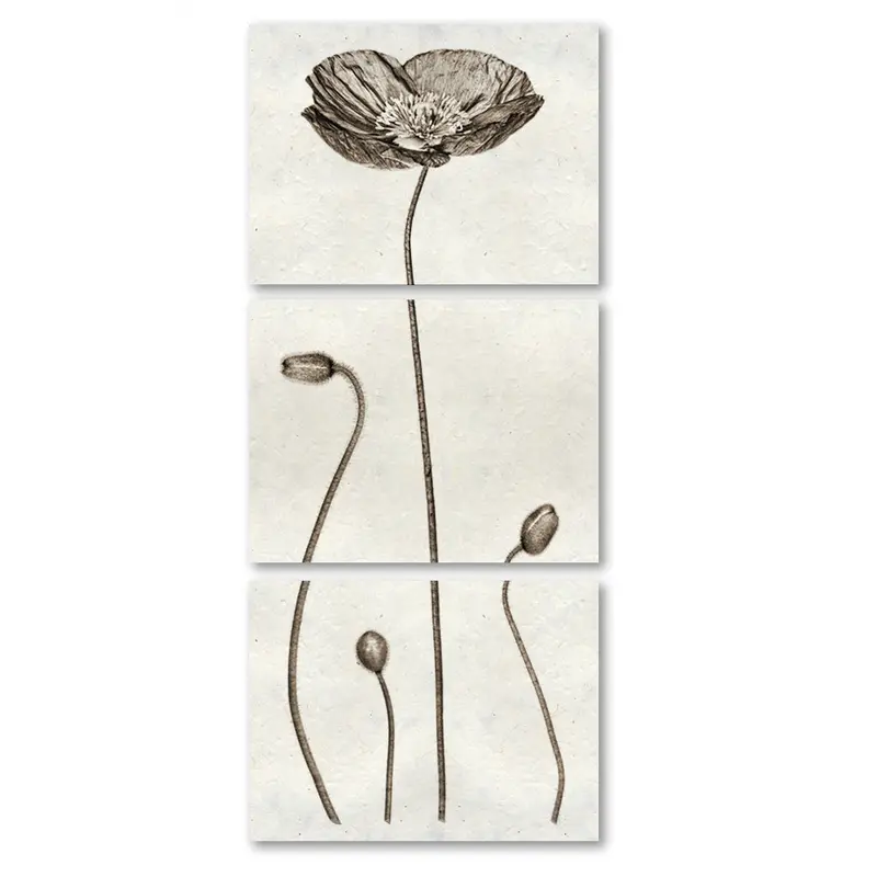 Iceland Poppy Trilogy 1