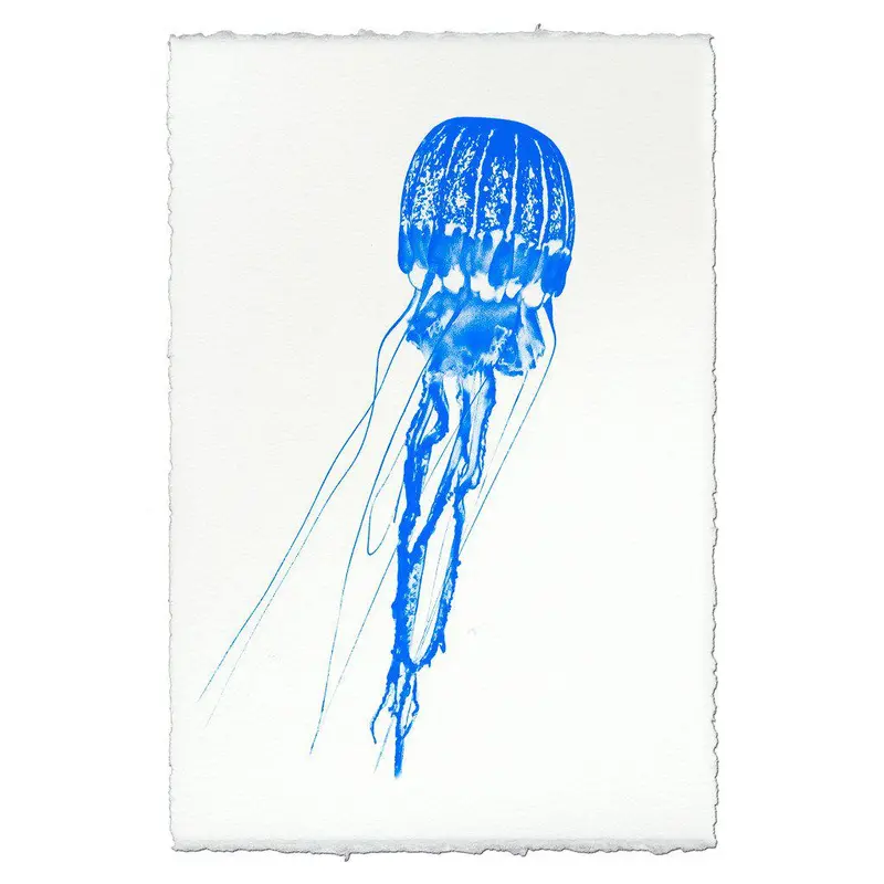 Lampshade Jelly 1