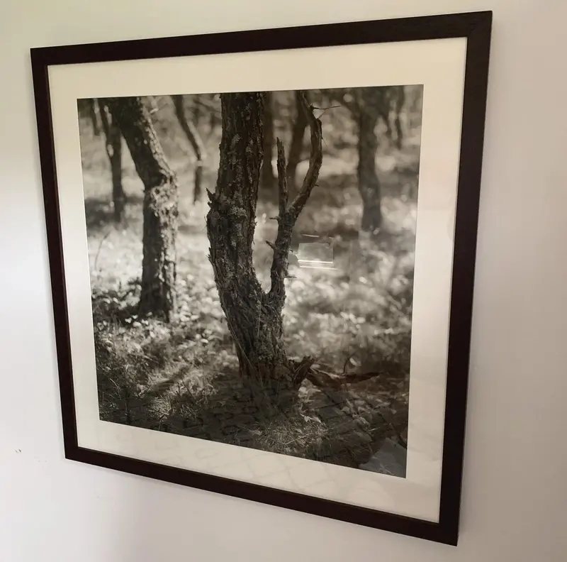 Large Original Eric Lindbloom Titled 'Pinewoods 28' (Framed) 1