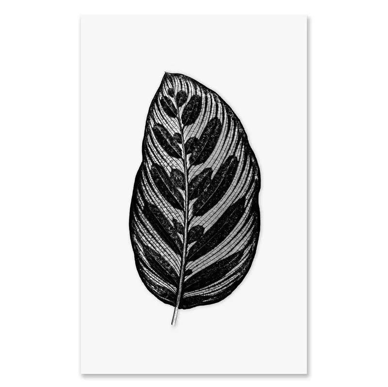 Leaf In Leaf Grand Format 1
