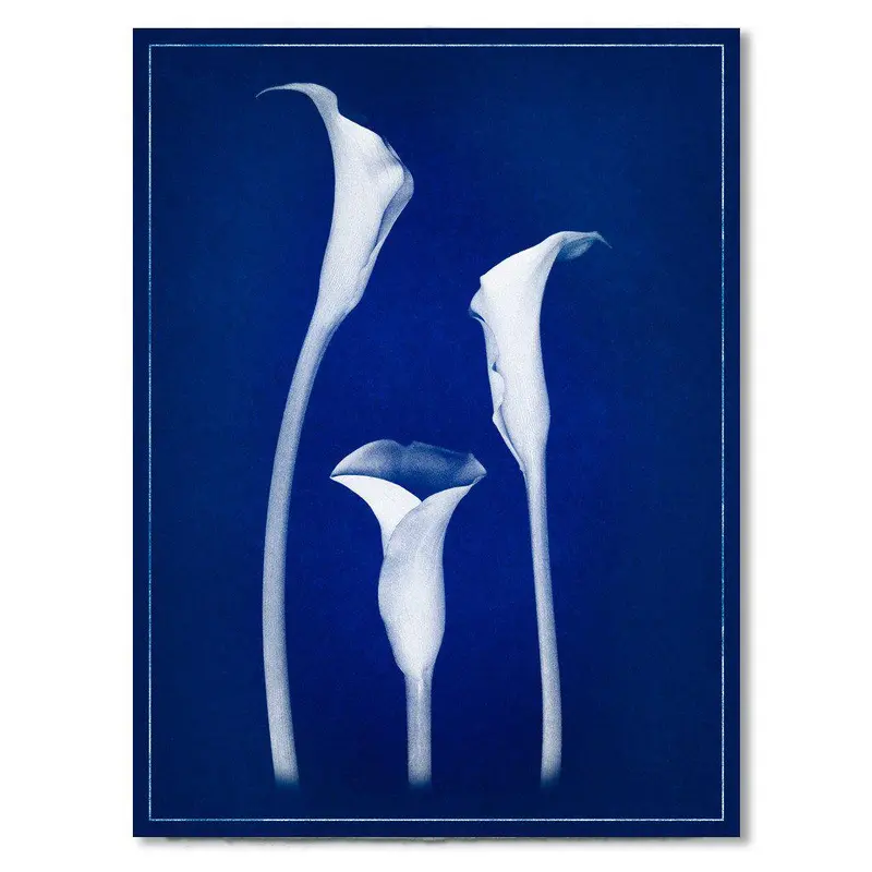 Lilies Blue Print 1
