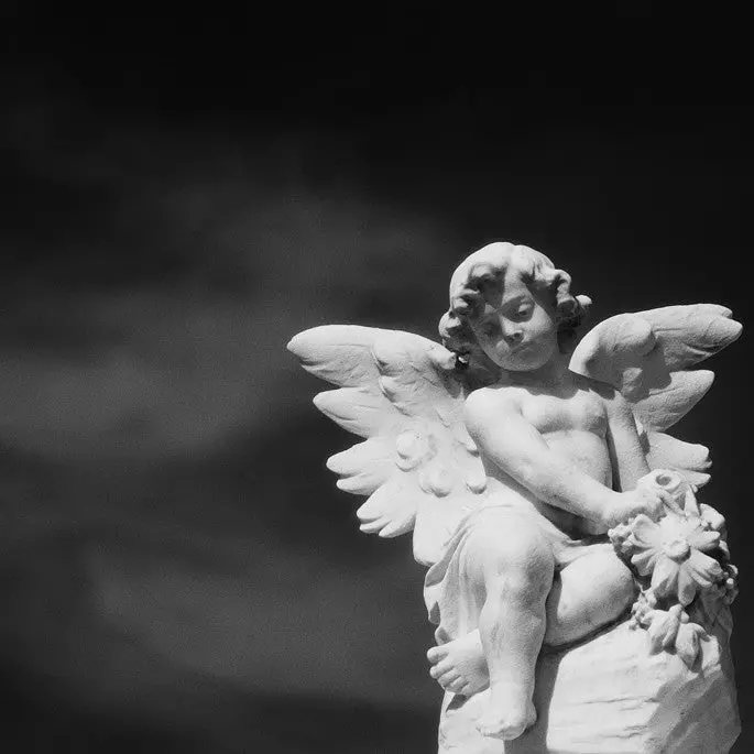 Little Wings- New Orleans, La 1