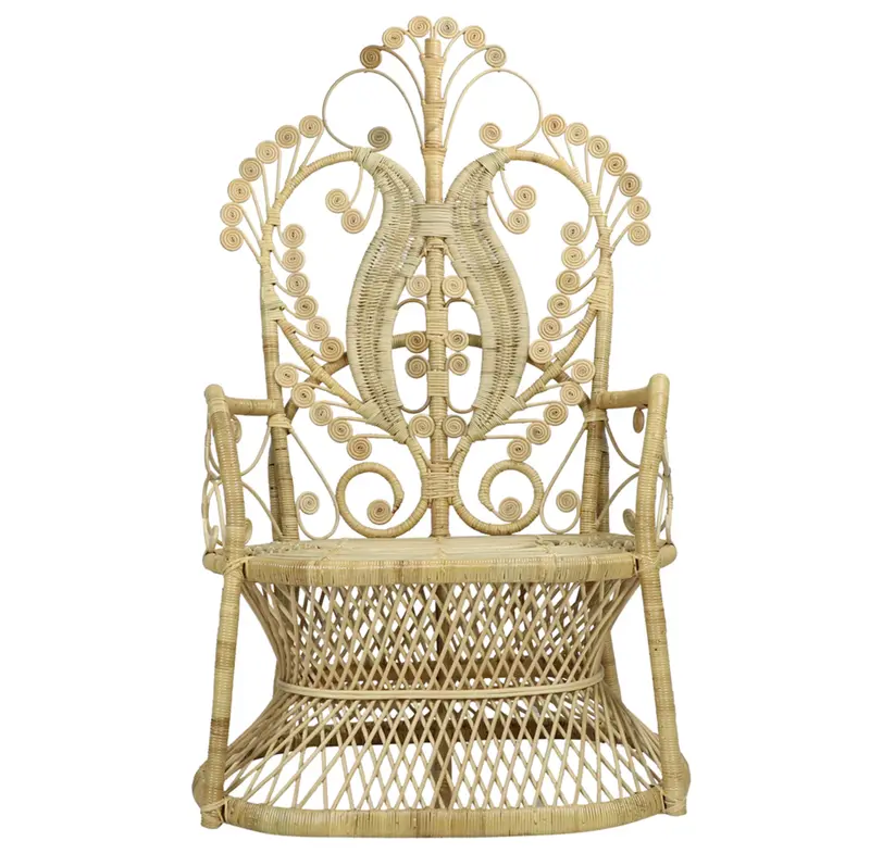 Lollipop Rattan Peacock Arm Chair - Matthew Izzo Collection 1
